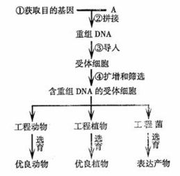 跨学科设计举例分析