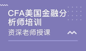 金融分析师技能考试