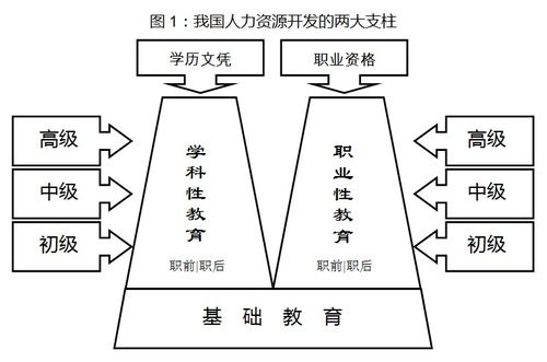 历史教育的功能和价值