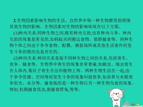 环境与课程是如何相互影响的