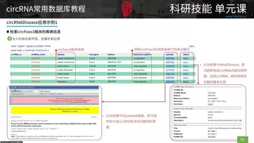 学术研究数据库的使用指南