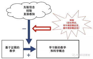 学生创新能力的概念