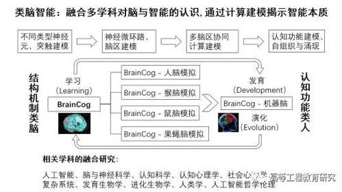 学校实验与本地产业结合的案例研究