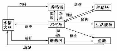 环境与课程的融合研究