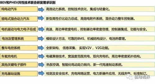 国内外教育的对比分析