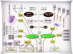 中学数学思维的培养