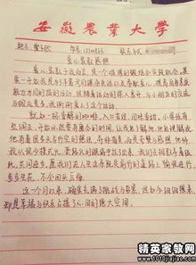 学生社区服务活动体会感悟怎么写