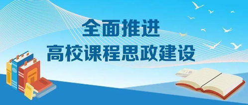 高校课程建设的内容