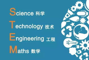 stem教育这样做