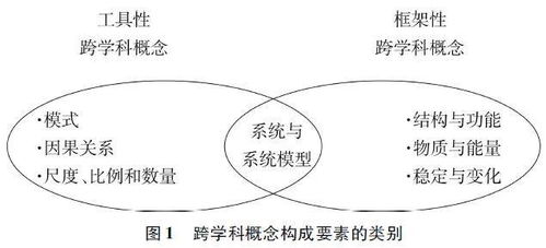 跨学科的理解