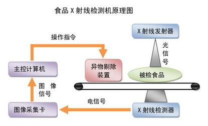 了解生物技术的主要内容及发展方向