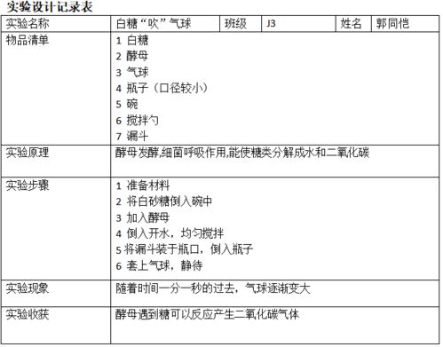 家庭小实验报告