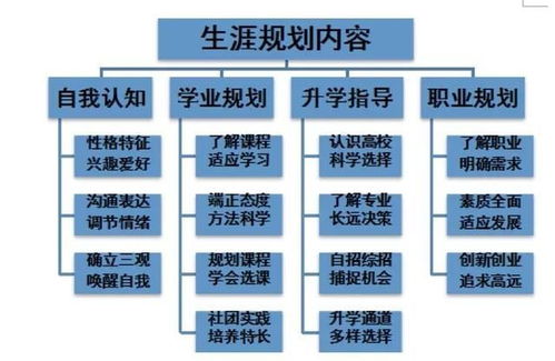 中学生涯教育的重要意义