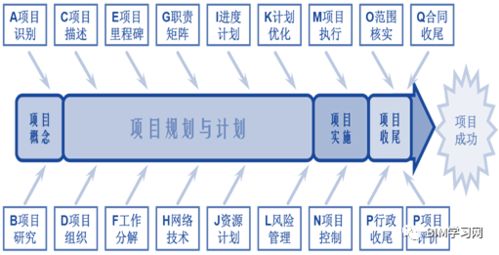 项目制的缺点