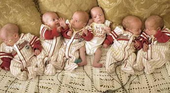全球多胞胎最多生几个