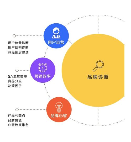 数字营销未来转型的要点在哪里提出